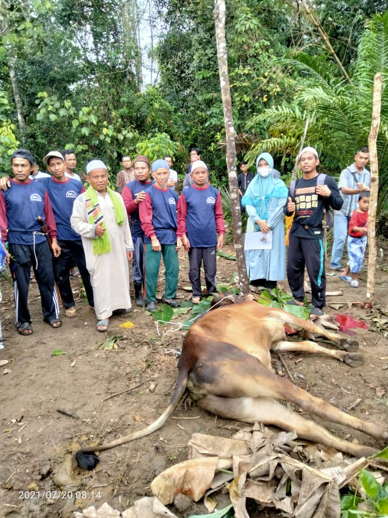 Hasil Berkebun, Lajang Ini Sumbang Dua Hewan Kurban
