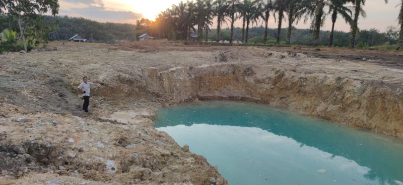 Petani Ini Buktikan Sawit Tak Rakus Air