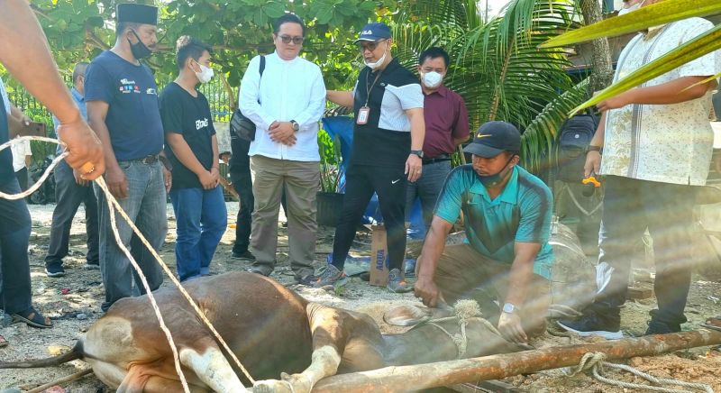 Petani Sawit Sembelih Sapi dan Kambing di Apkasindo