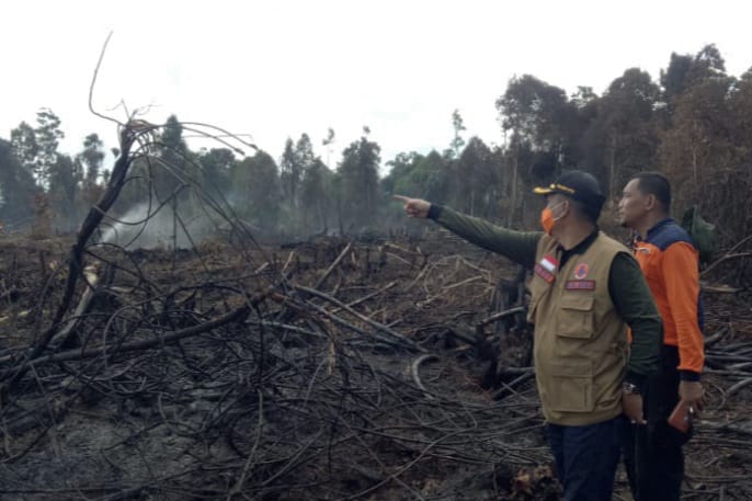 Hutan Lindung Bukit Suligi Riau Terbakar, 3 Orang Diamankan