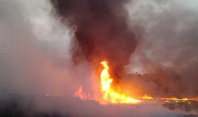 Tumpukan Tankos Seluas 1,5 Hektar Terbakar