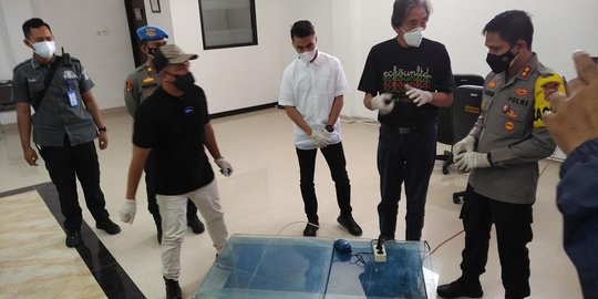 400 Ekor Arwana Super Red Senilai Rp24 Miliar Dicuri Anak Buah