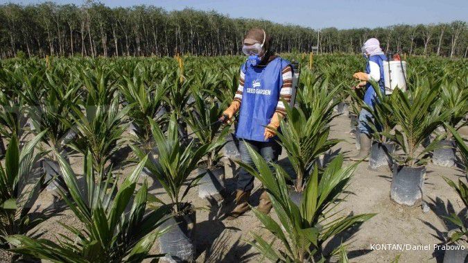 SP2BKS, Upaya Meminimalisir Benih Sawit Ilegitim