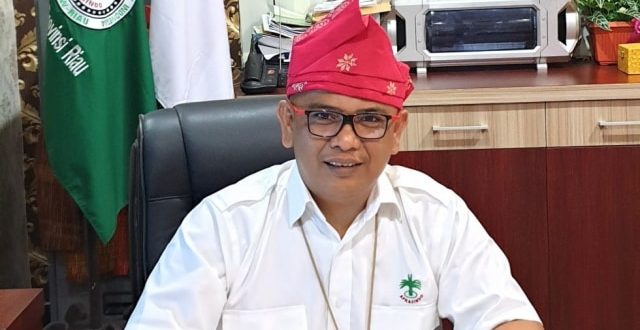 Harga Sawit Pecah Rekor, Ini Kata Apkasindo