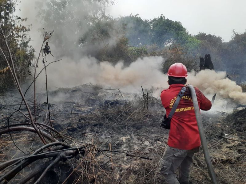Karhutla di Siak Berkurang, Tiga Bulan 2 Hektare Kebun Sawit Terbakar