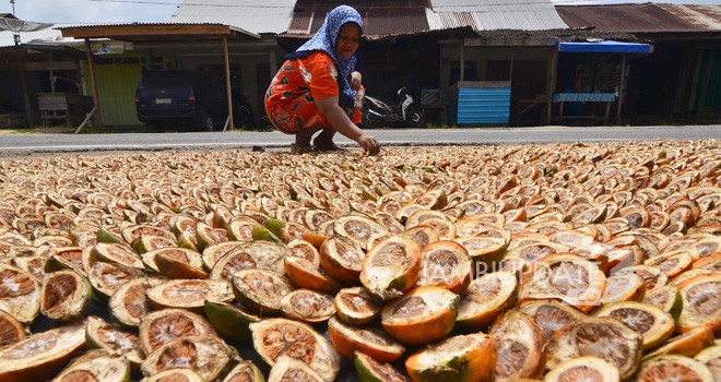 Tembus Pasar Thailand, Aceh Ekspor 39 Ton Pinang