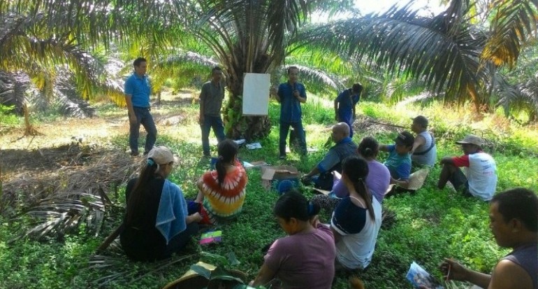 Jumlahnya Kurang, Tenaga Penyuluh Jadi Rebutan