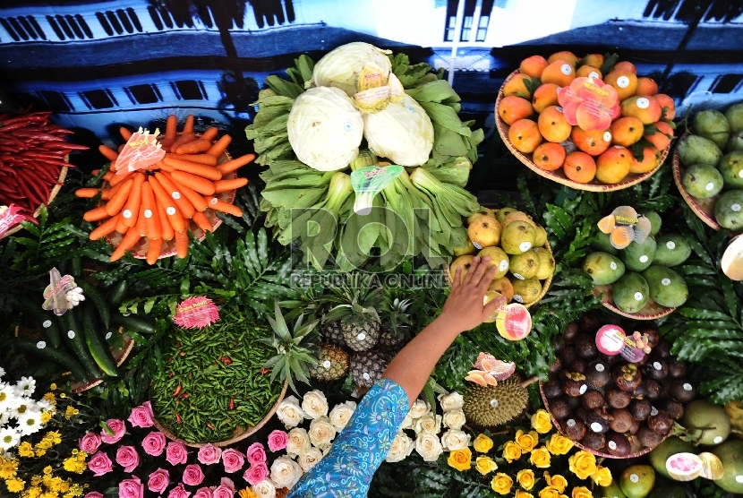 Pertanian Disanjung, Tapi Anggarannya tak Didukung