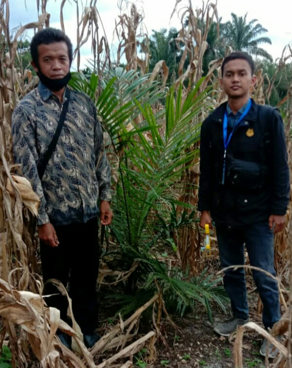 Pakai Bibit Unggul, Belum Panen pun Sudah Puas