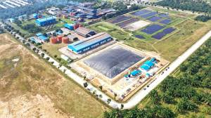 Limbah Cair Sawit Diolah Jadi Listrik, Emisi Metana Berkurang