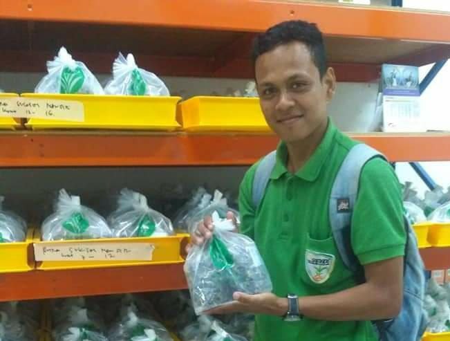 Harga Pupuk Melambung, Petani Sawit di Inhu Menjerit