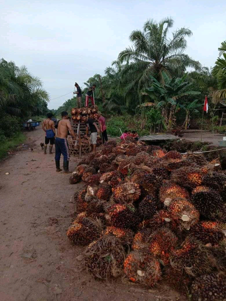 Harga Sawit Bagus, Warung Kopi Makin Ramai