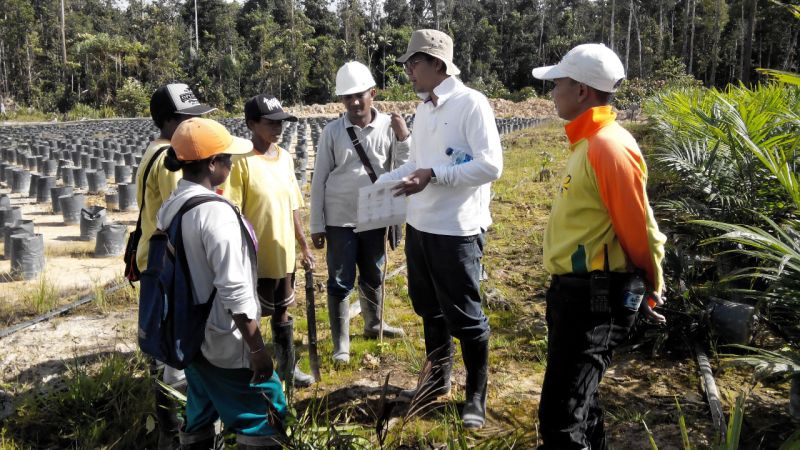Kecambah ini Dihargai Pakai Ringgit, Bayarnya Pakai Rupiah