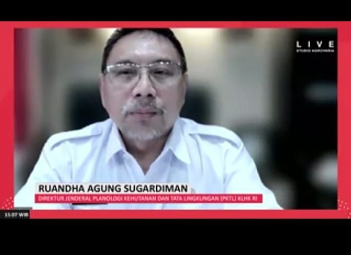 Biar Uni Eropa Tahu, Deforestasi di Indonesia Sudah Turun