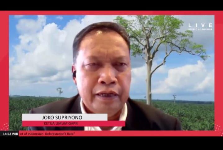 GAPKI: Jangan Bilang Lagi Sawit Bikin Deforestasi