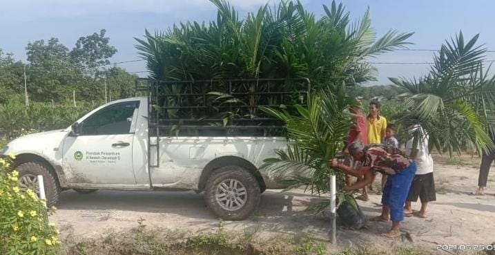 708.277 Batang Bibit Sawit Unggul Ludes Diborong Petani