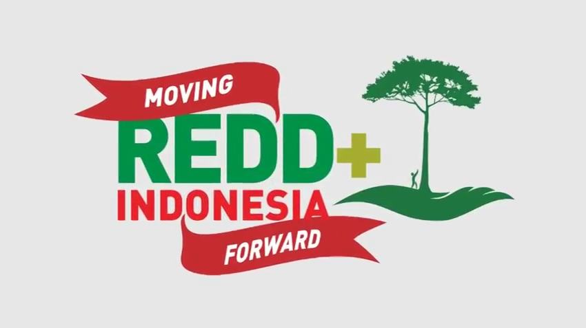 Kerja Sama REDD Berakhir, Dua Pakar Ini Ngakak
