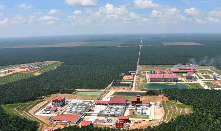 Tak Semua Perusahaan Sawit Nikmati Naiknya Harga CPO