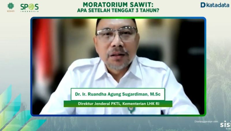 Jokowi Belum Tanggapi Progres Moratorium Sawit yang Dilaporkan KLHK