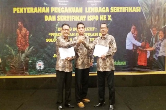 Eksistensi Sawit Makin Mantap Usai Sertifikasi ISPO