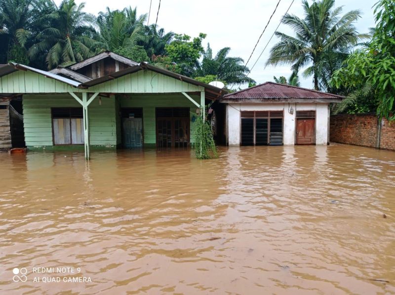 Diduga Gegara Replanting Sawit PT Arindo, 160 Rumah Terendam Banjir