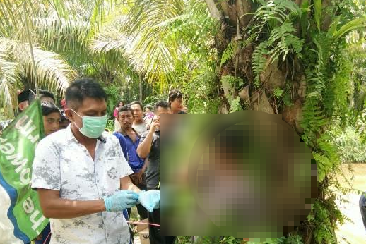 Pria Ini Bunuh Diri di Kebun Sawit, Tinggalkan Catatan