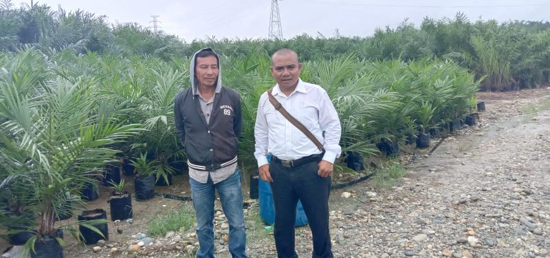 Mudahkan Raih ISPO dan RSPO, Petani Diajak Pakai Bibit Unggul
