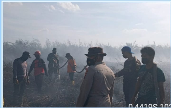 Semak Belukar di Lahan Gambut Terbakar, Api Masih Berkobar