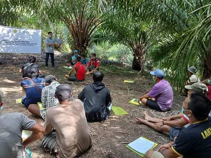 Poktan calon Mitra PKS Dibentuk, Rendemen Sawitnya Akan Diuji