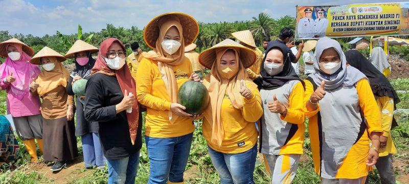 Pertanian Menjadi Sektor Ekonomi yang Menjanjikan