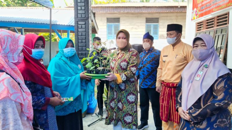 Bibit Gratis Dibagikan, Warga Diajak Tanami Pekarangan