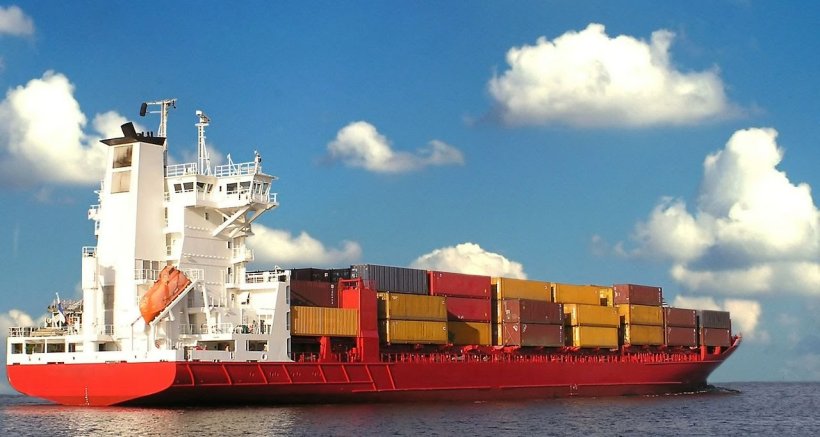 UMKM Indonesia Ekspor Damar Batu dan Lidi Sawit ke Asia Selatan