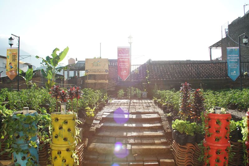 Optimalkan Halaman Masjid Jadi Lahan Pertanian Modern