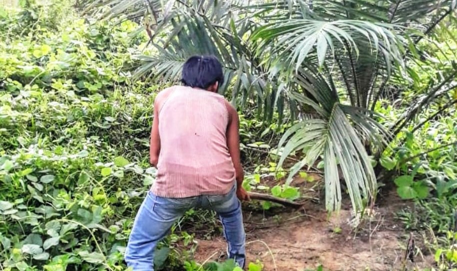 Menggusur Stigma Rendemen Lawas