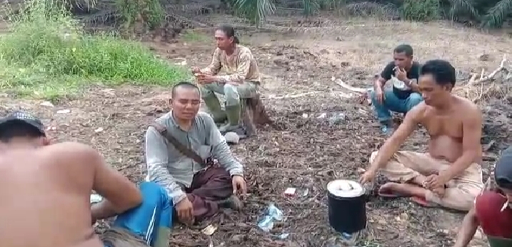 Petani ini Yakin Usai Trek Harga TBS Masih Bertahan Tinggi