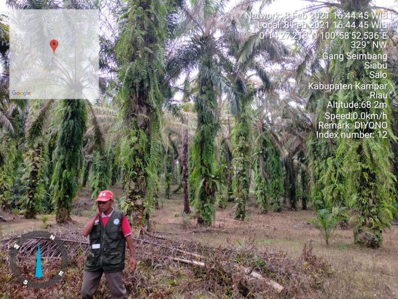 Kisah Sedih Petani Kampar Tak Bisa Ikut PSR