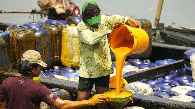 Harga CPO dan Inti Sawit Naik Signifikan