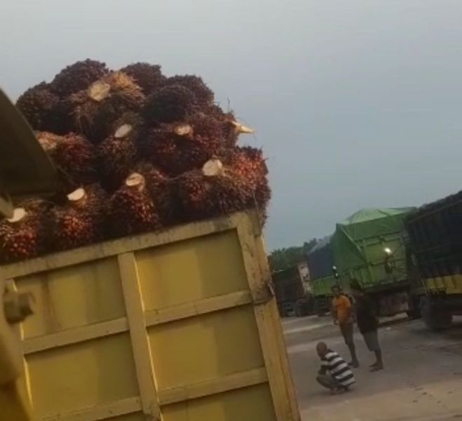 Rugi Akibat BBM Langka