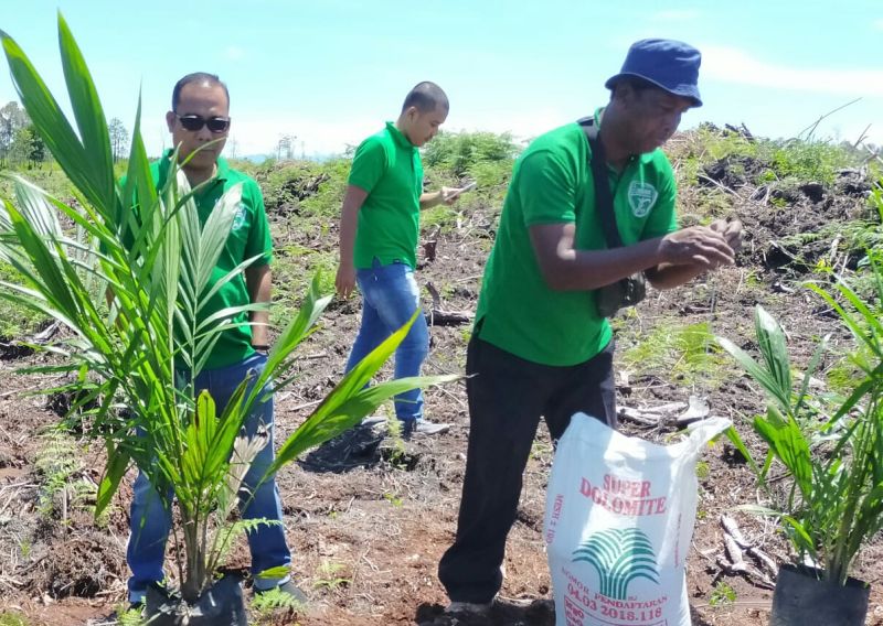 Ribuan Hektar Kebun Anggota SAMADE Dapat Rekomtek PSR