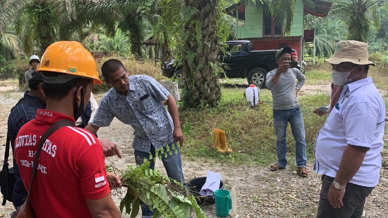 Ribuan Petani Sawit di Aceh Didukung Raih Sertifikasi RSPO