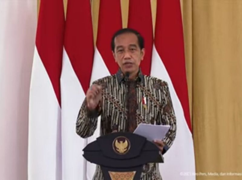 Ingatkan Pemerintah Daerah, Jokowi: Jangan Latah, Sawit Rame Semua Nanam Sawit