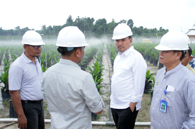 PSR KPKS Suka Makmur Panen Sawit Tertinggi Bulan Ini
