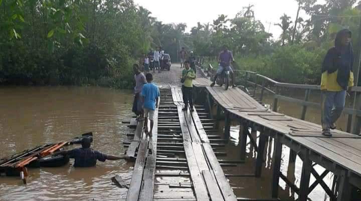 Ribuan Ayam Mati di Bawah Jembatan Anak Sungai Indragiri