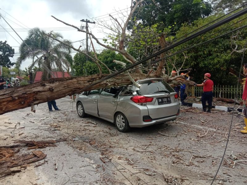 Pulang dari Pengajian, Mobil Nova Ditimpa Pohon di Pekanbaru