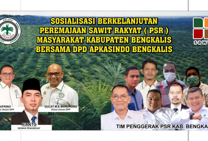 Dukung Percepatan PSR, APKASINDO  Bengkalis Gelar Sosialisasi