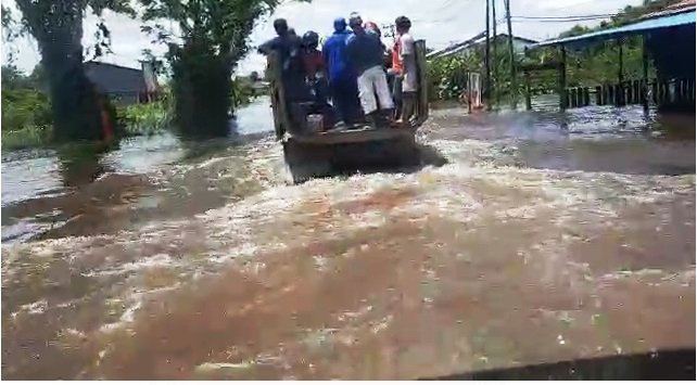 Melawi Banjir, Sawit Tak Bisa Diangkut