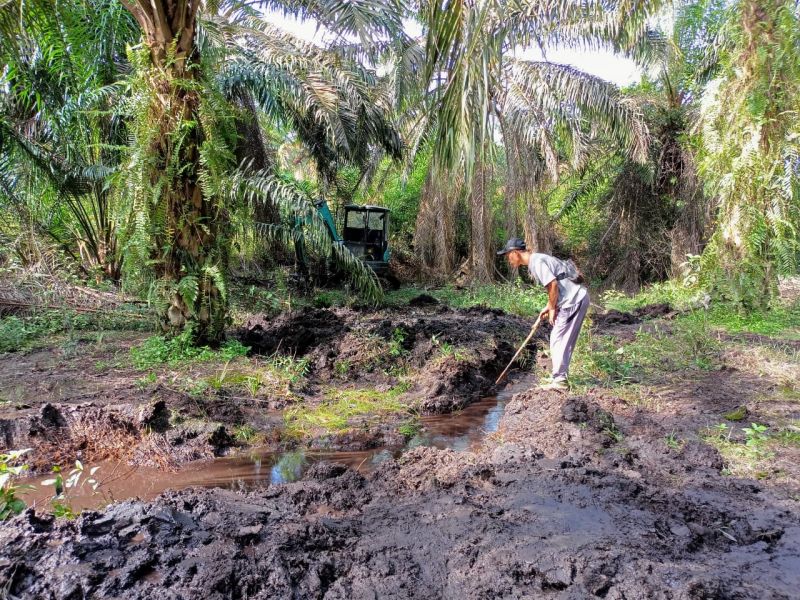 Petani ini Dapat Cuan dari Parit