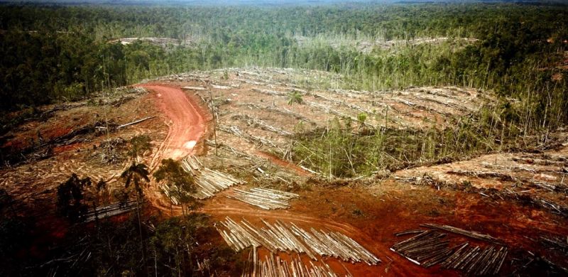 Sebegininya Nikmat Cuan Rente Itu...