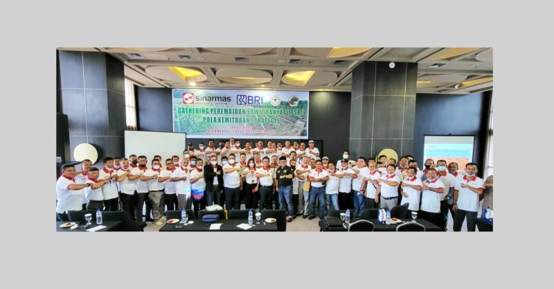 Mitra Strategis, Yuuuk...