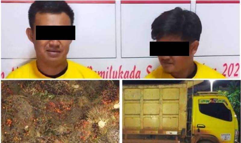 Mandor ini Nekat Gelapkan 1 Truk Sawit